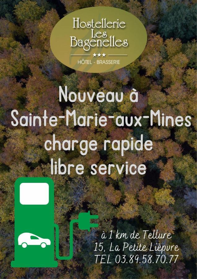 Hostellerie Les Bagenelles Sainte-Marie-aux-Mines Ngoại thất bức ảnh